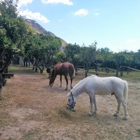 Bed and breakfast Tenuta Tara 4*