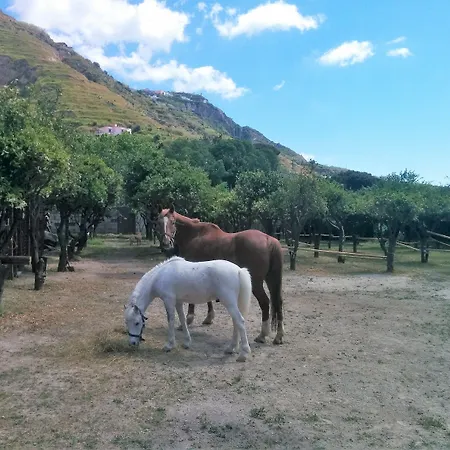 Tenuta Tara 4*