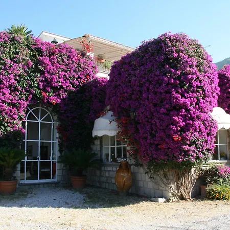 Tenuta Tara Bed & Breakfast Sant'Angelo (Isola d'Ischia)